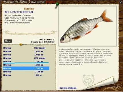 Вобла где ловить