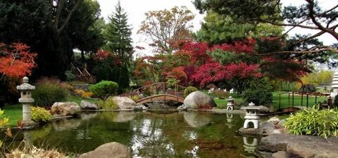 Японский сад для созерцания.
