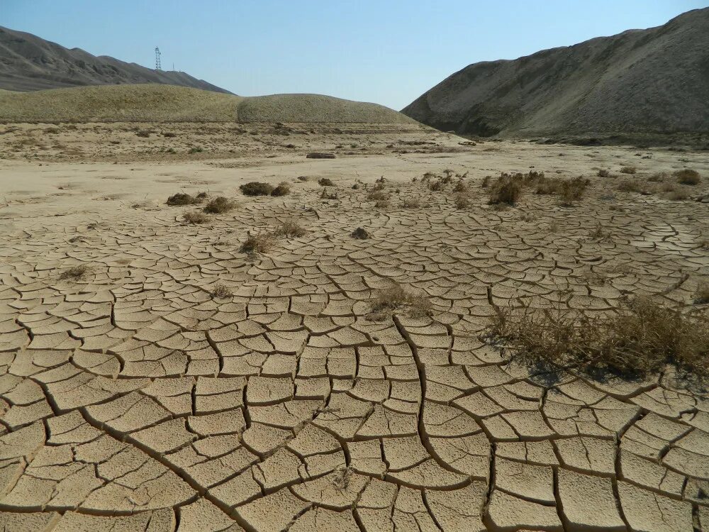 Сероземы пустынь. Почва полупустынь 7. Полупустыни и пустыни африки почвы. Пустыня сахель. Бурые полупустынные почвы россии.