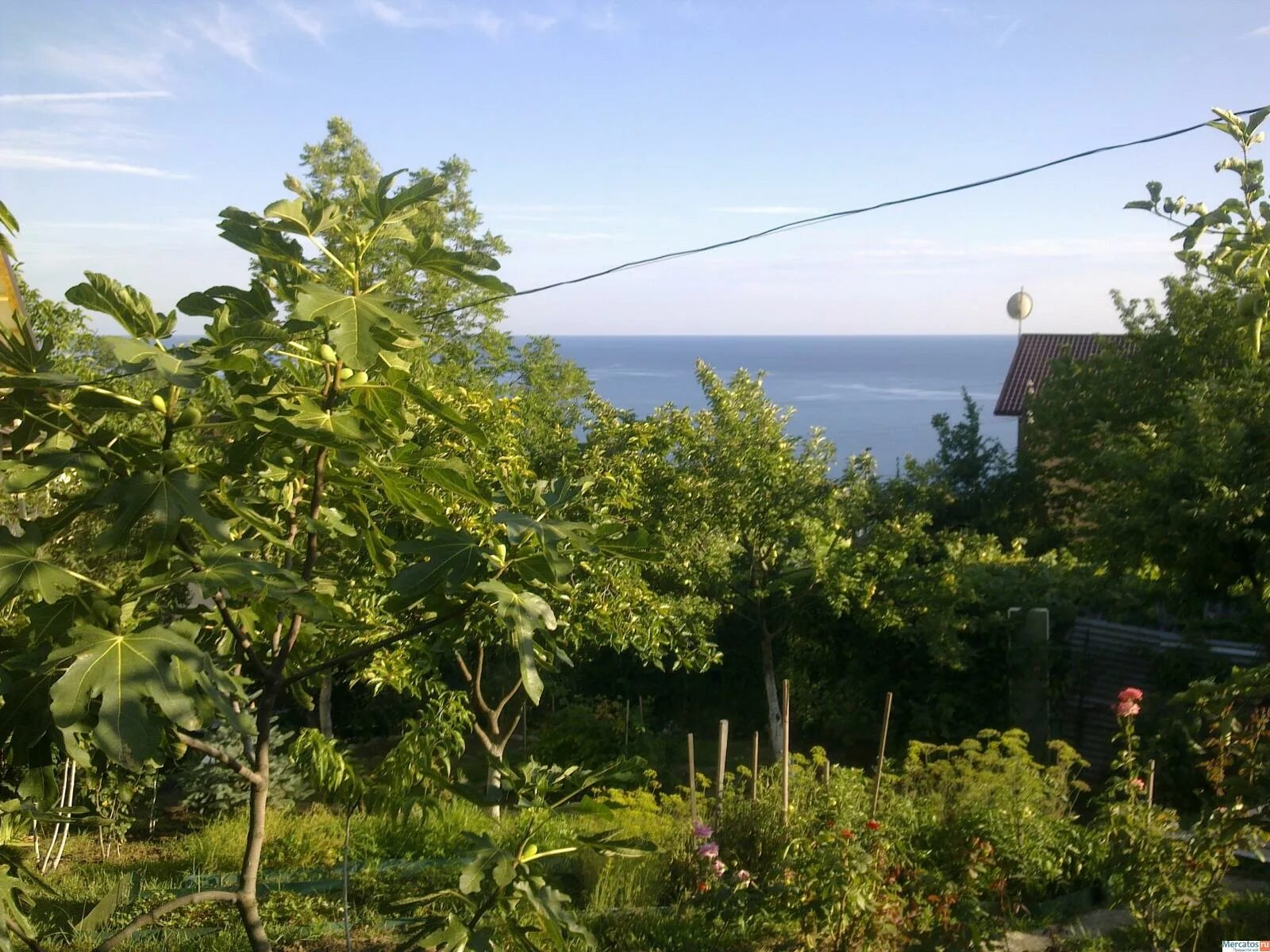 дача на леселидзе. дача в сочи. сочи дачи недорого. сочи мацеста дачи. дача сочи домик.