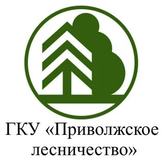 Реестр лесничеств