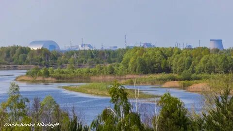 Припять в петрикове