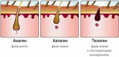 Слабый рост волос
