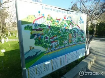 Ток судак схема