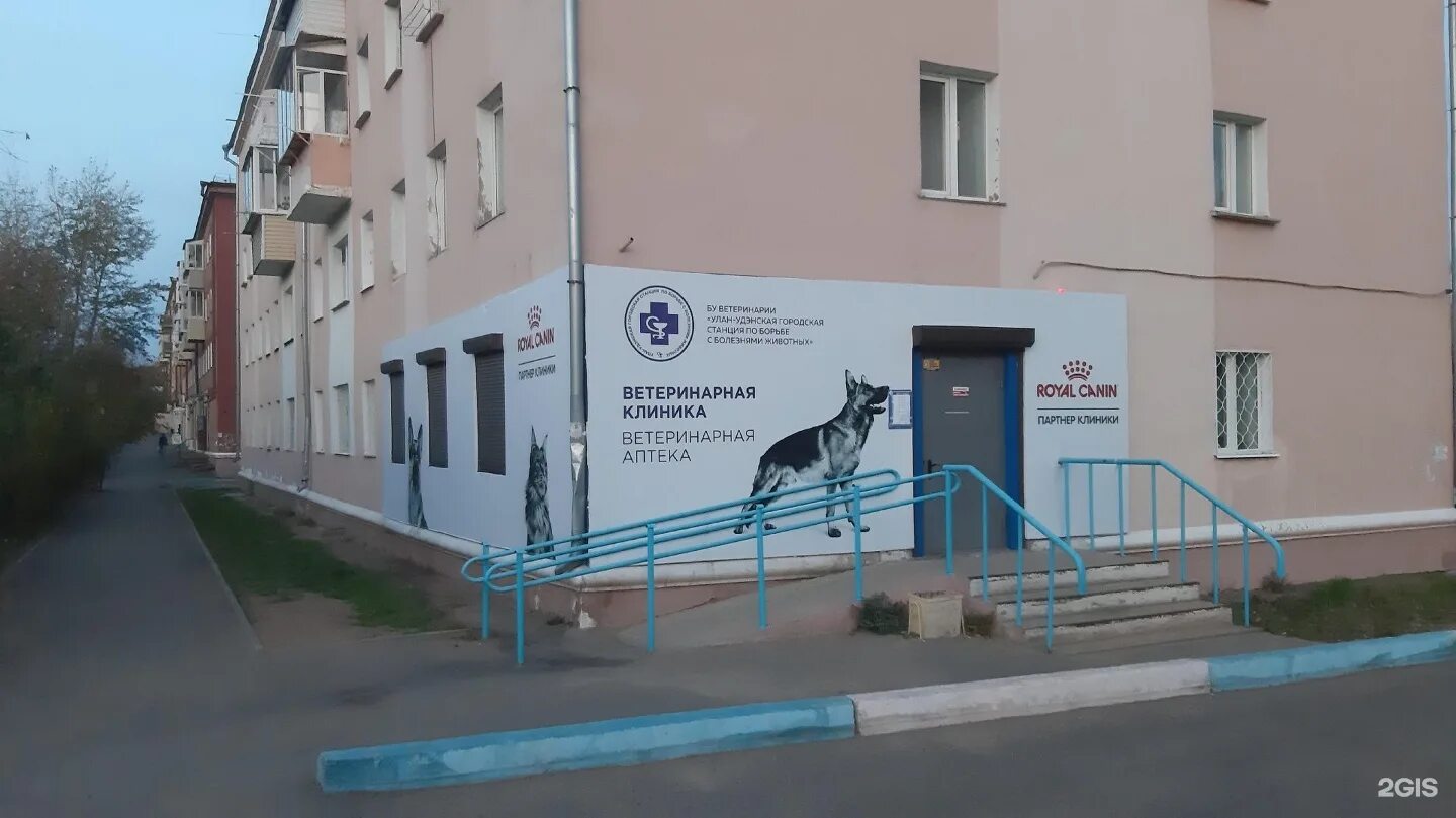 Ветеринарные клиники улан удэ адреса и телефоны. Ветеринарная клиника улан удэ зои космодемьянской. станция по борьбе с болезнями животных улан-удэ. ветеринарная клиника исток улан удэ. улан-удэнская городская станция по борьбе с болезнями животных.