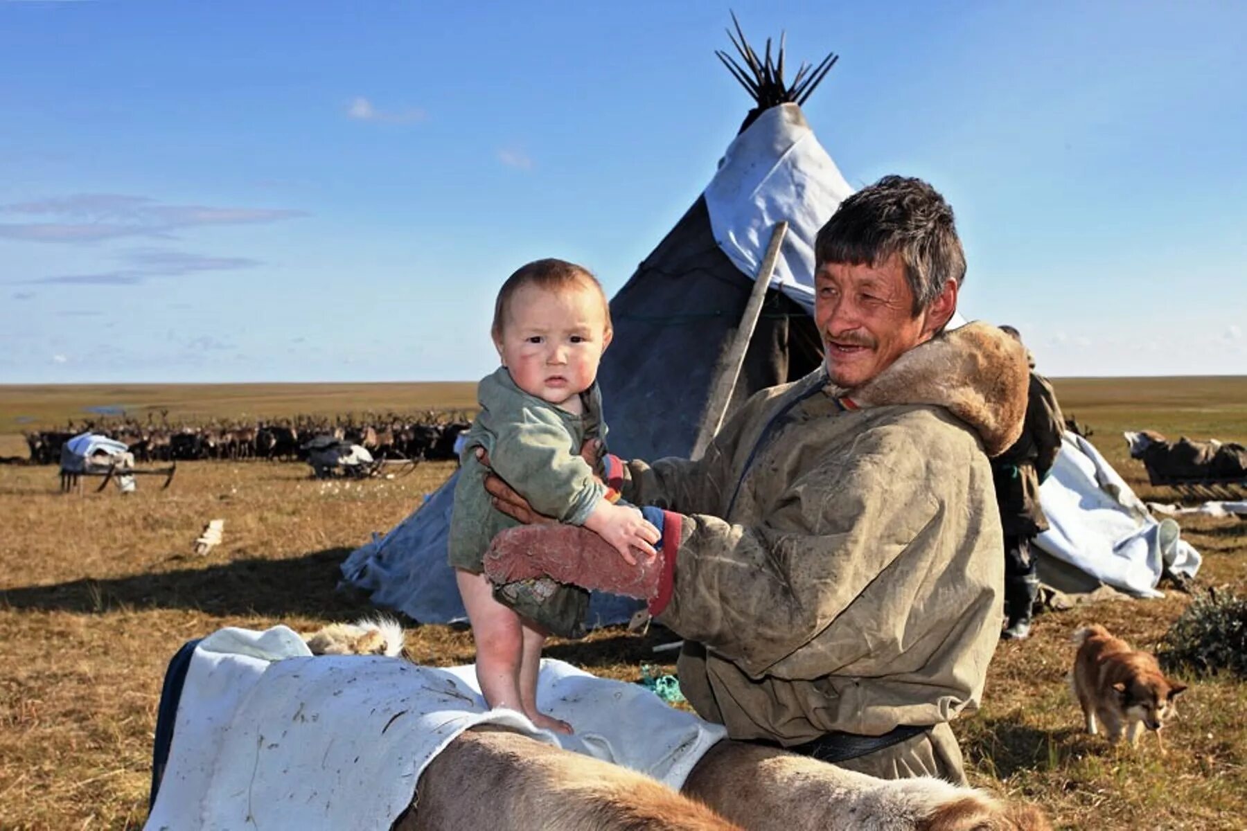 Население ненцев