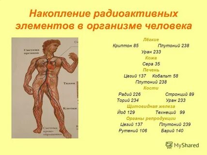Где накапливаются вещества