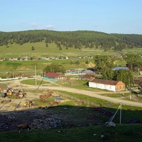 Тукан белорецкий. Тукан белорецкий