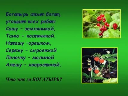 Окружающий мир 4 класс плешаков жизнь леса