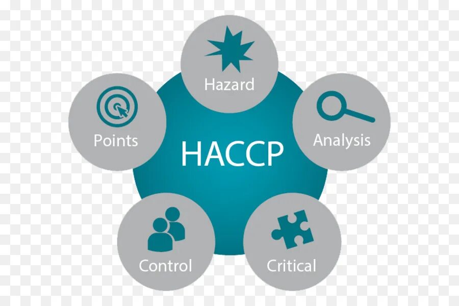 Hazard analysis and critical control points. Хассп. hazard analysis and critical control points haccp. хассп картинки. система хассп.