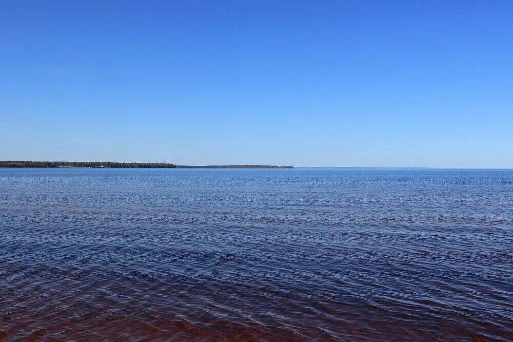 Реки не было видно