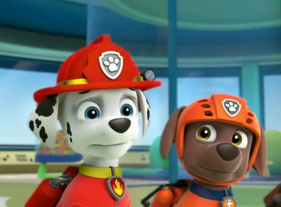 Шене патруль. Щенячий патруль гонщик и зума. Paw patrol райдер. Paw patrol. Скай.