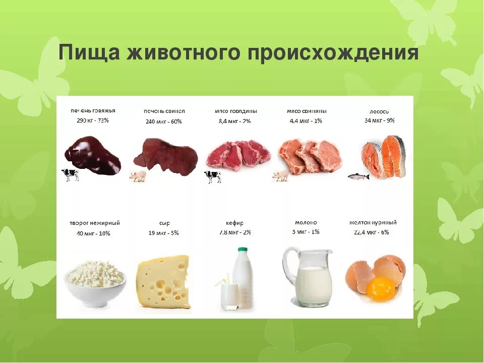 Продукты растительного происхождения 2 класс окружающий. Продукты питания животного происхождения. Продукты животного происхождения список. Живльнлгл происхождение. Пищевые продукты животного происхождения.