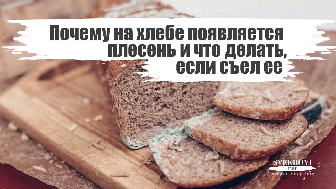 Плесень на хлебе. Съел хлеб с плесенью. Почему на хлебе появляется плесень. Плесень на хлебобулочных изделиях. Ела хлеб с плесенью