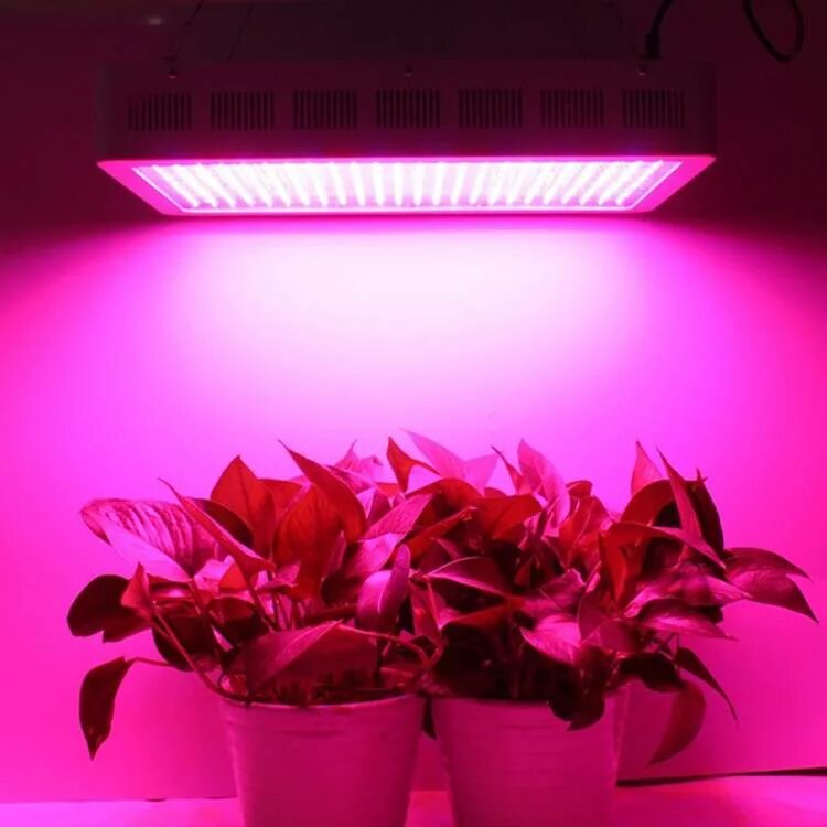 Фитолампа Garden show 400mm. Фитолампа 216 led 500wt. LUMIGROW Pro 325 фитолампа. Фитолампа Инхом 15вт.