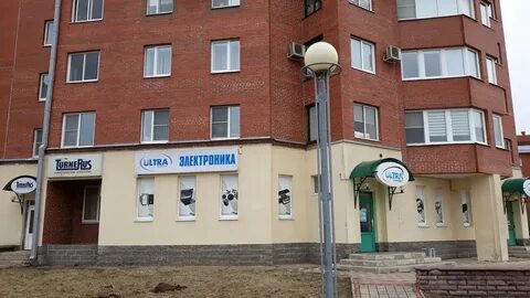 Липовский сосновый бор
