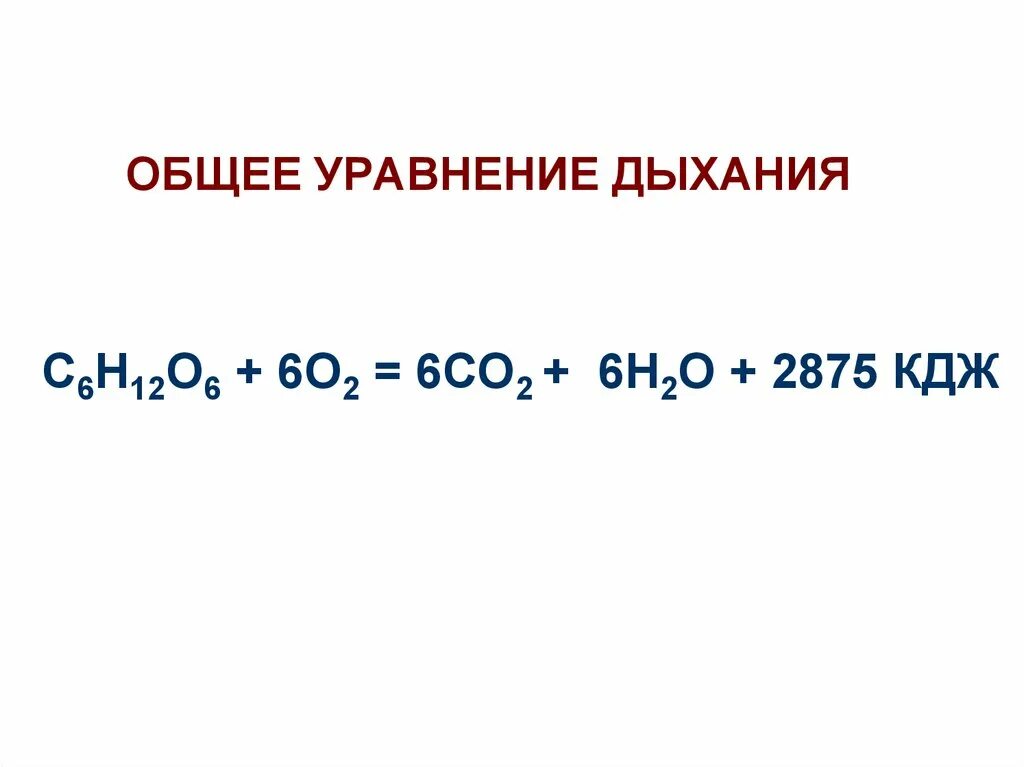 Уравнение реакции процесса дыхания