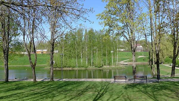Дендропарк псков. Парк дендрарий псков. мирожский парк псков. дендропарк мирожский парк. дендропарк псков пруд.
