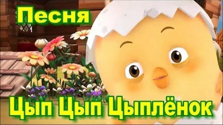 Цып цыпа зарядка. Цыпленок. Цып-цып!. Песня цыплята. Песня цып цып. Цып цып ТВ.