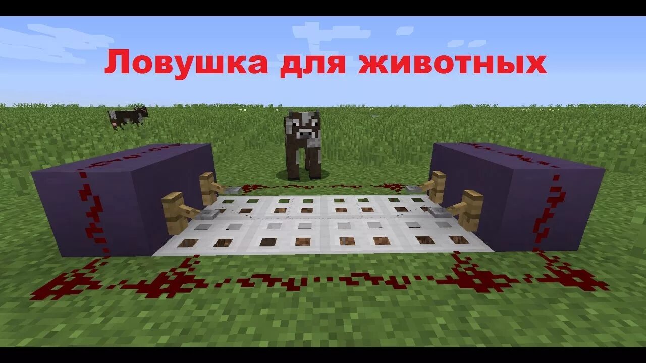 Тряпка в майнкрафте. Крутые ловушки в майнкрафте. Дом ловушка в майнкрафте. 5. Постройки в майнкрафте ловушки.