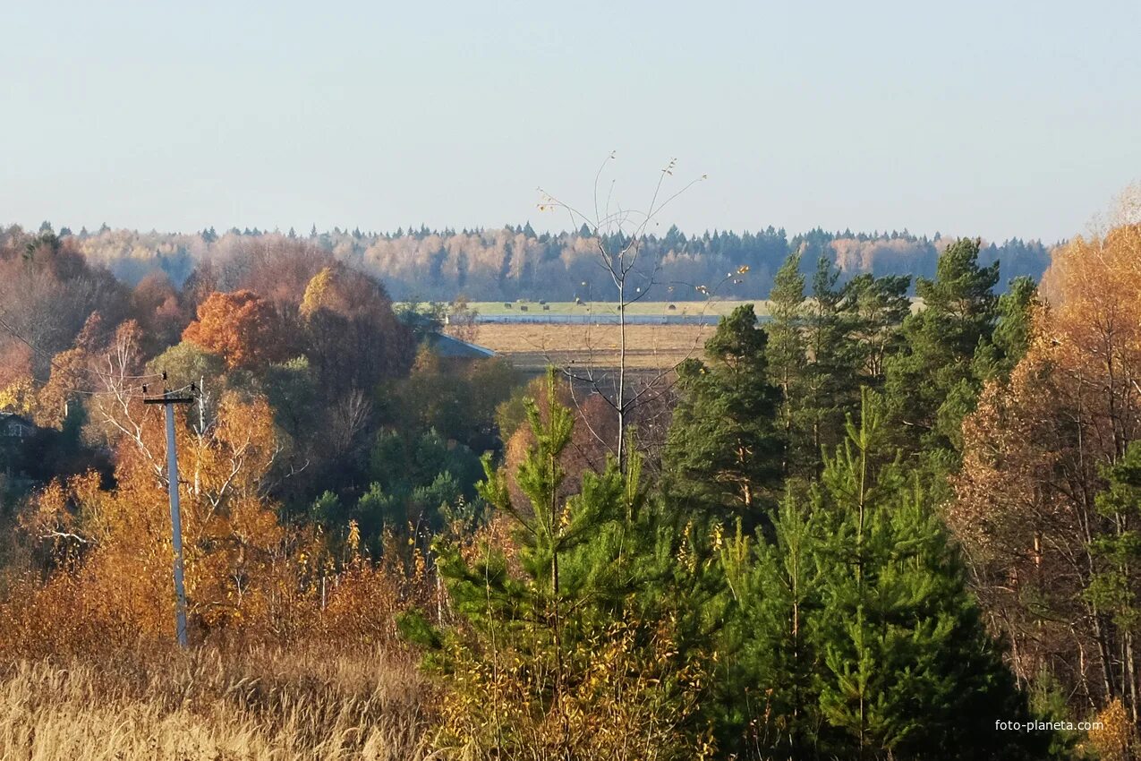 Московская область, ступинский район, д. Тайны деревни дубечино ступинский район. Деревня дубечино московская область. Погода в дубечино. Московская область, ступинский район, д.