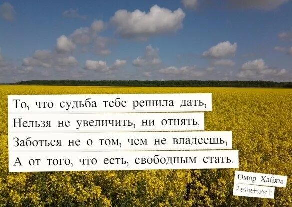 давайте решать. даже упав вновь решайся на взлёт жизнь твои крылья. пчела вонзив стальное жало не знает что она пропала. по решаю или порешаю. цитаты про изменения.