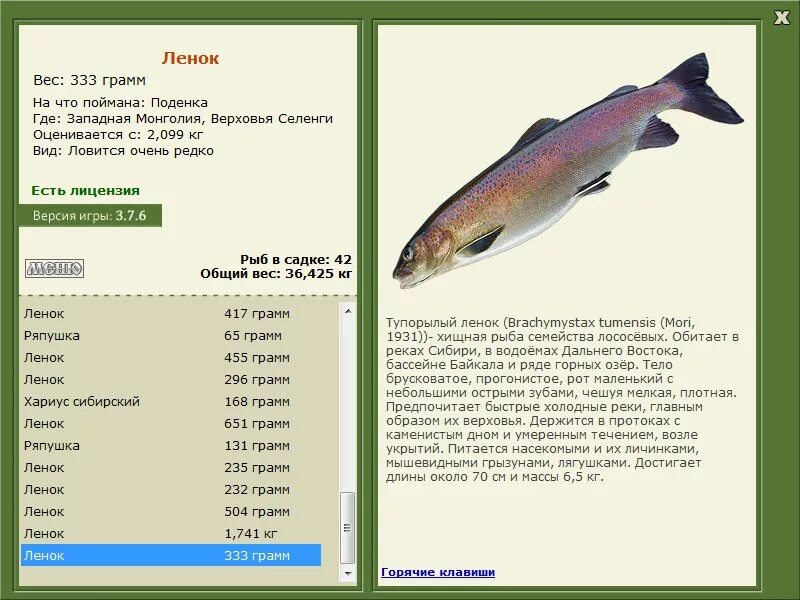 Таймень орск. Какие рыбы обитают в реке Иртыш. Хищная рыба на Иртыше. Река Иртыш какая рыба водится в реке. Какие рыбы обитают в Селенге.