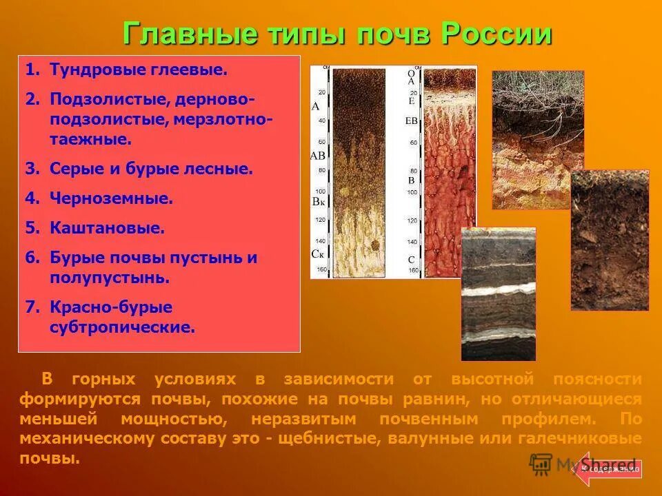 Характеристика почвы 5 класс