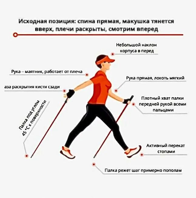 Скандинавская ходьба урок начинающим. Как правильно держать палки для скандинавской ходьбы. Северная ходьба с палками техника ходьбы. Правильная техника ходьбы со скандинавскими палками. Правильная ходьба с палками для скандинавской ходьбы.