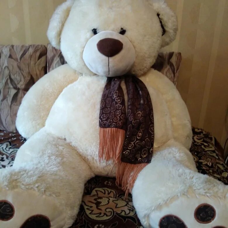 Заказать большого медведя на день рождения. Подарок большой медведь. Большой медведь в квартире. Кровать в виде большого медведя. Медведь мягкий игрушка венге с золотом.