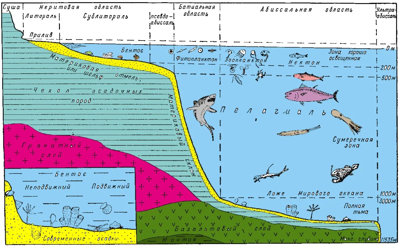 Зоны морского океана