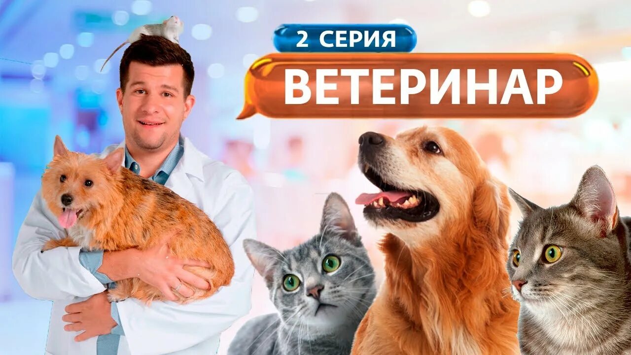 программа ветеринар на канале ю. ветеринар. бетховен ветеринарная клиника хабаровск. ветеринар с собакой. ветеринары 2.