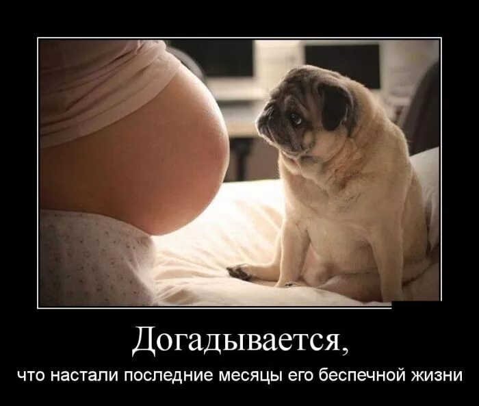Что значит лафа