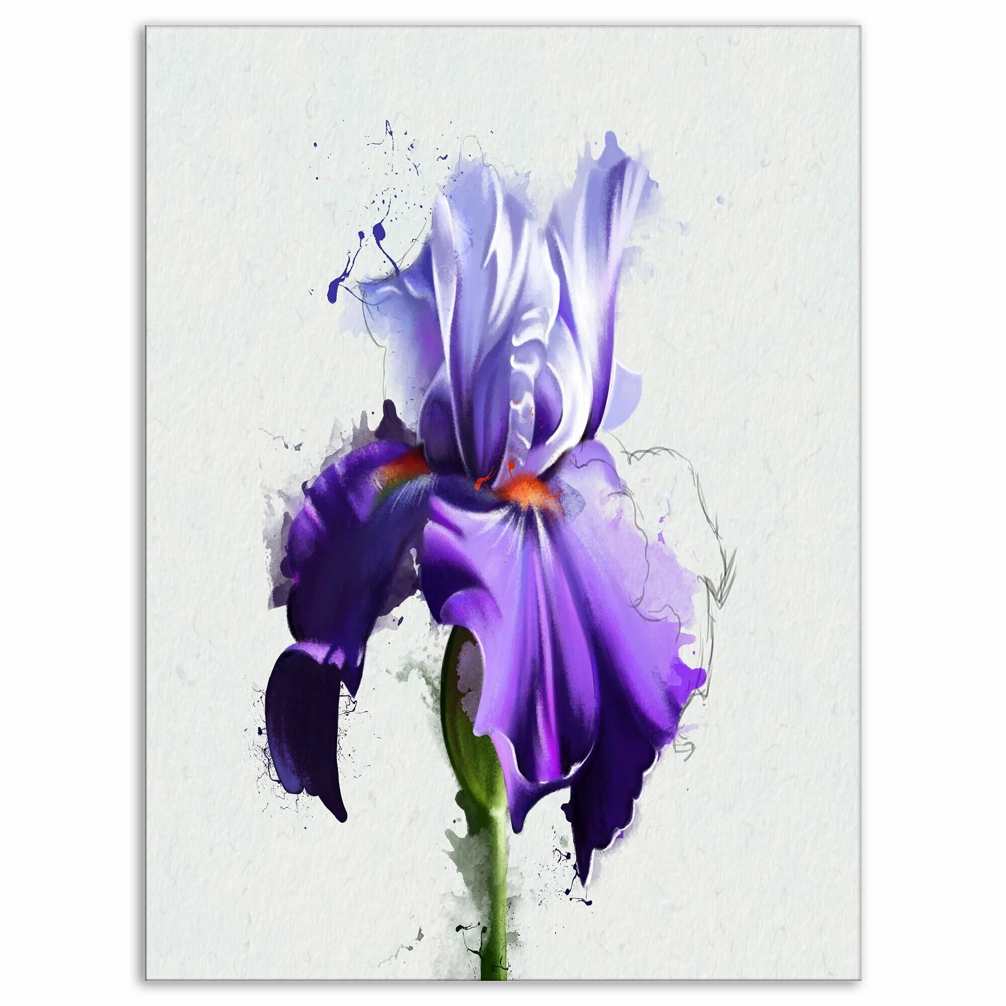 Iris x graphics