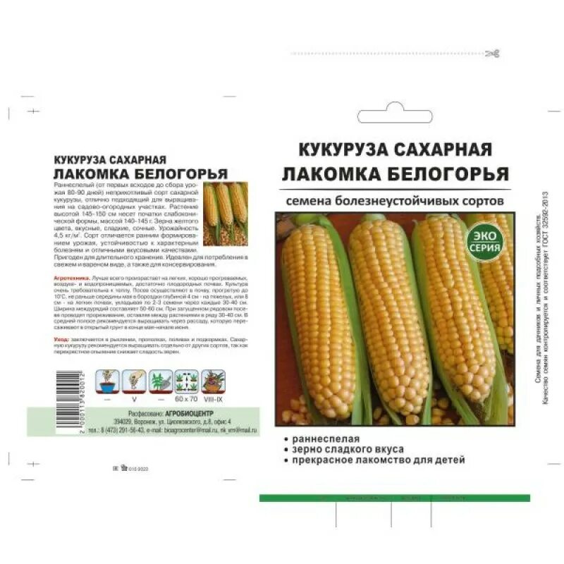 Цветение початка кукурузы. Гмо сорта пшеницы. Сколько раз плодоносит кукуруза. Кукуруза дкс фао 180. Жители кенни проверяют как растет новый трансгенный сорт зерновых.