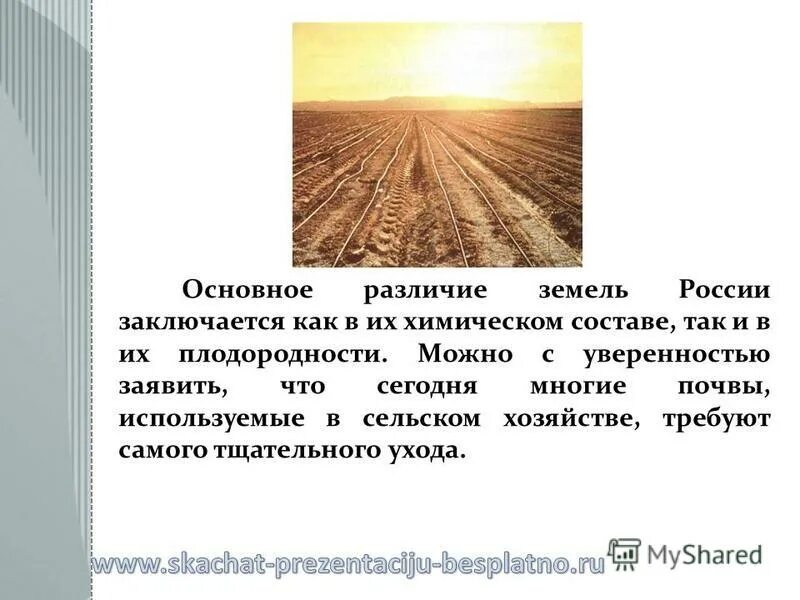 Торф. Торф почва. Состав почвы. Чем отличается земля от почвы. Грунт гумус плодородный гумус.