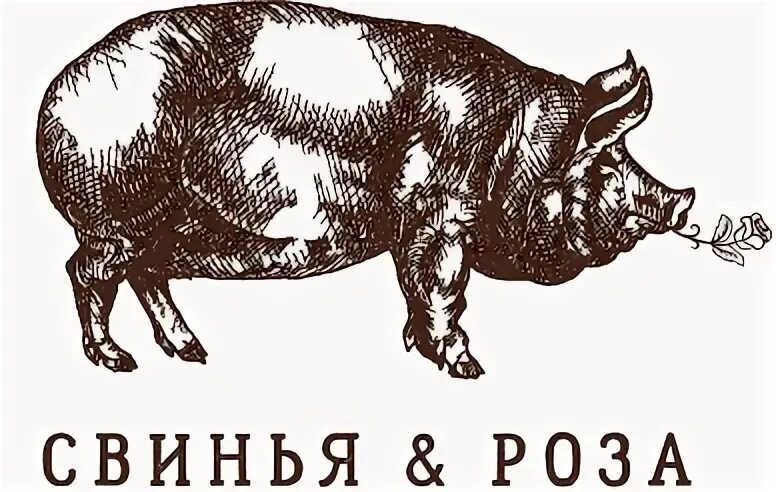 Свинья и розы паб. Бар свинья