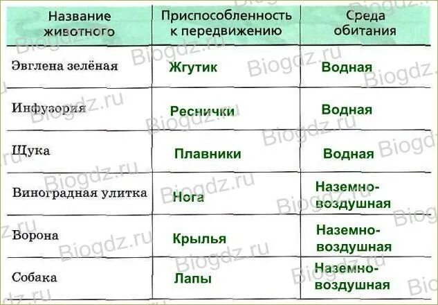 Заполните таблицу передвижение животных. Способы передвижения животных 7 класс биология таблица. органы движения животных таблица. заполните таблицу движение животных. таблица передвижение животных.
