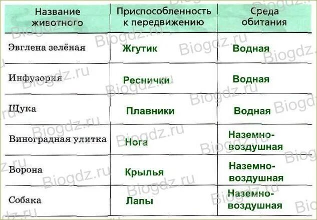 Способы передвижения животных 7 класс биология таблица. Органы движения животных таблица. Таблица по биологии способы передвижения животных. Способы передвижения таблица. Таблица передвижение животных