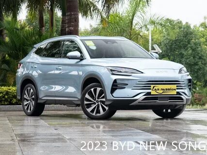 Byd song champion