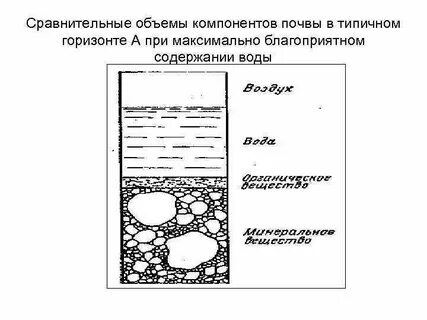 Фазы грунта