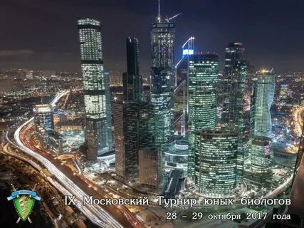 High level сити