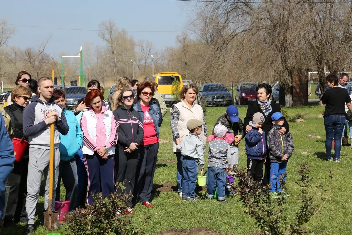 Подслушано в Константиновске. Праздник древонасаждения в Пушкинском сквере.. Погода в Константиновске.