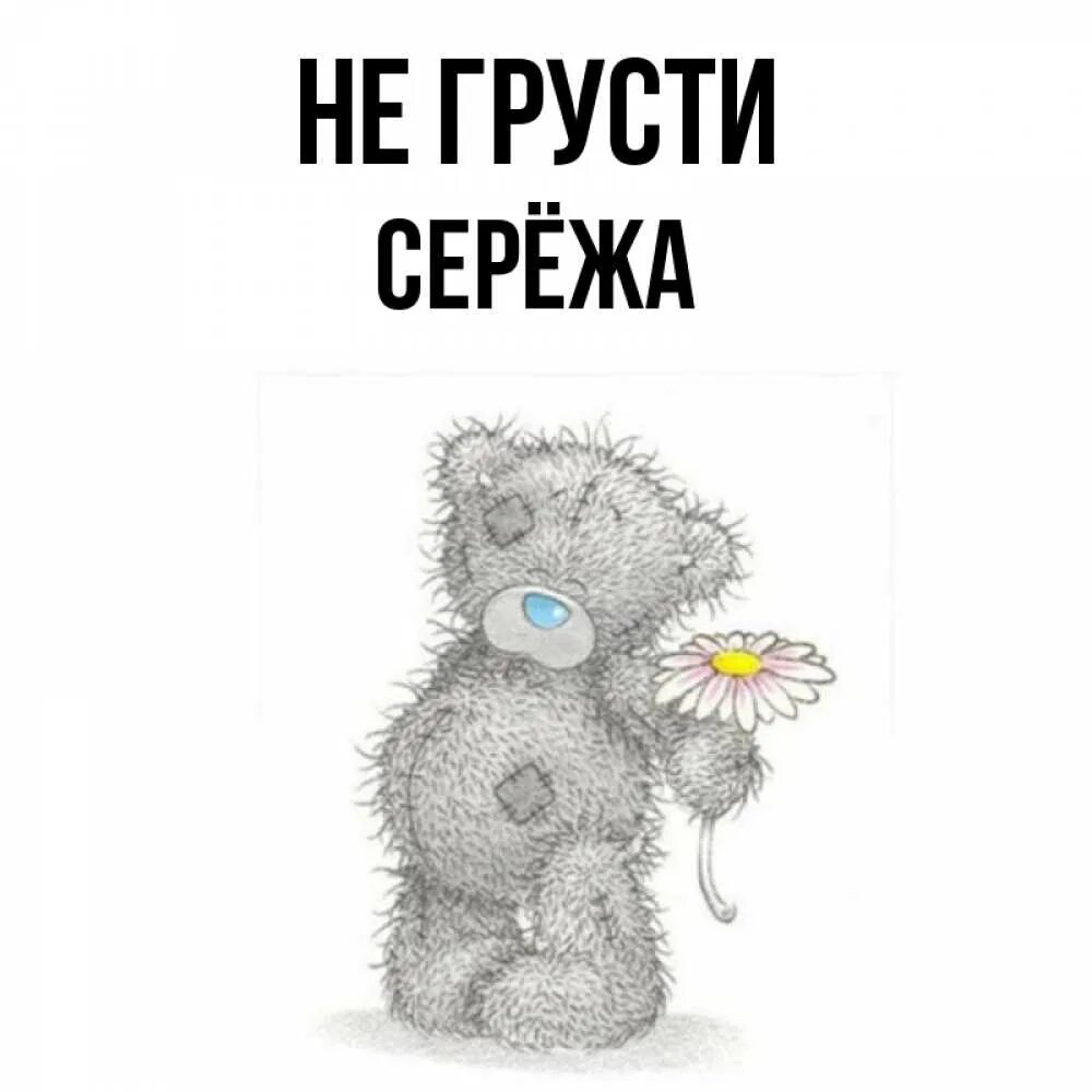 Не грусти там. Не грусти Сережа. Медвежонок Сережа. Не грусти картинки. Не грусти картинки прикольные.