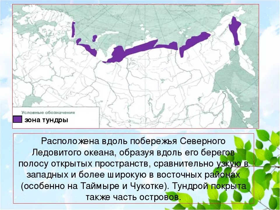 Расселение лесотундры. Тундра на карте России природных зон 4 класс. Где располагается тундра в России на карте. Тундра на карте России. Зона тундры на карте России.