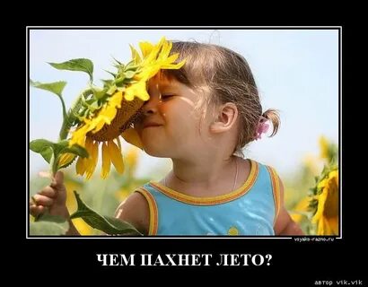 Вижу лето идет