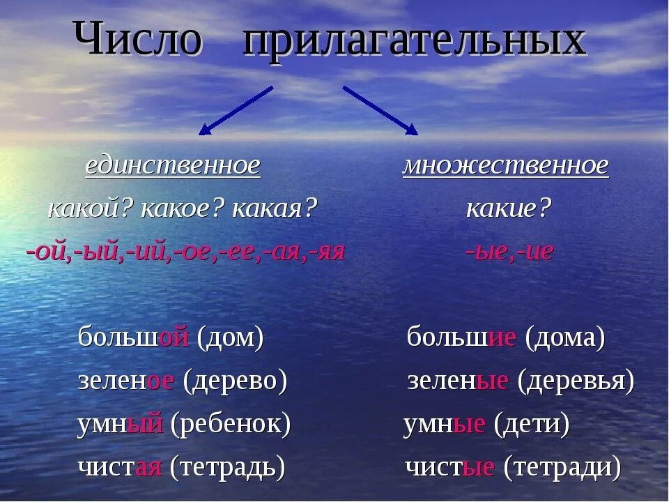 Море какое окончание. Число прилагательных. Прилагательное слова. Прилагательные слова. Слова прилагательные в единственном числе.