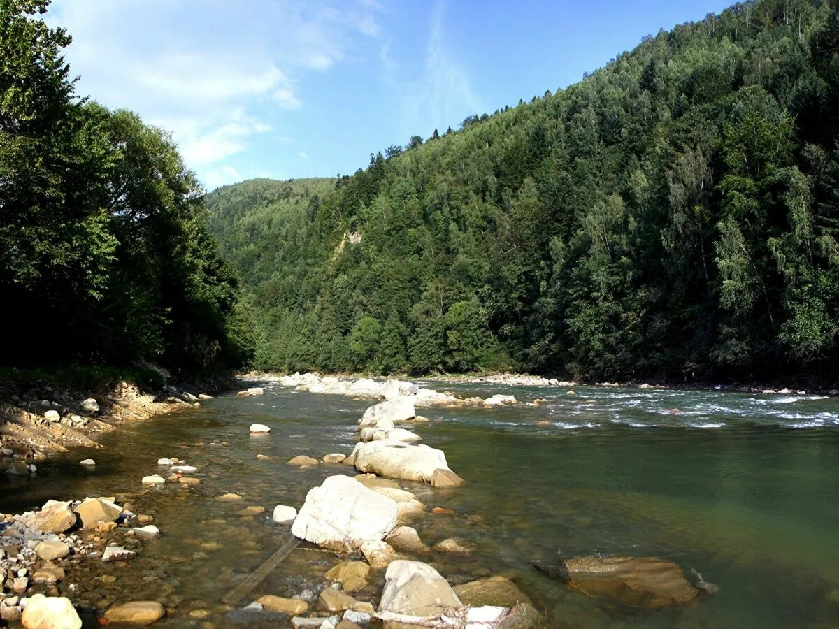 Горные реки Карпат. Карпаты Украина реки. Закарпатье горы Украина река. Река прут в Молдове.