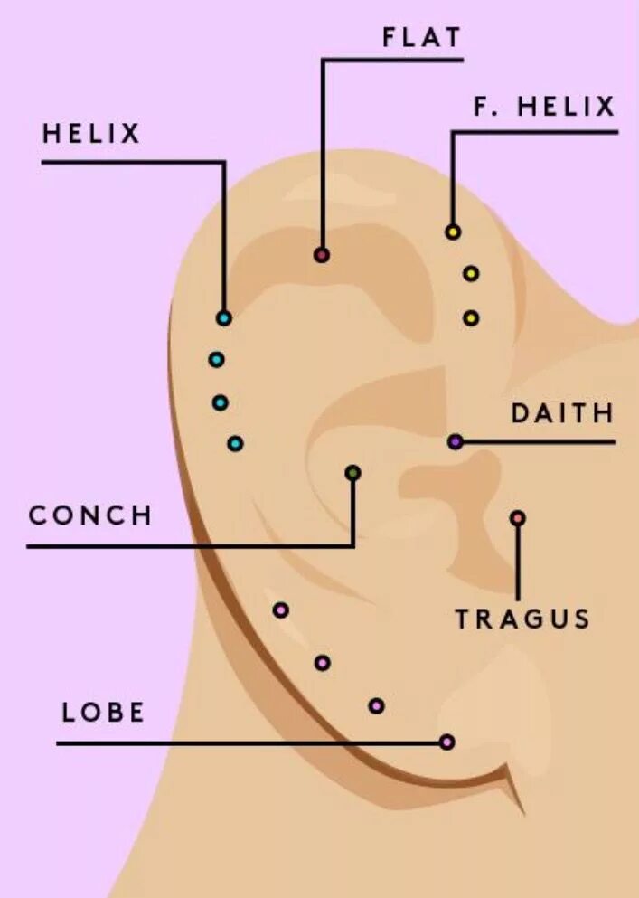 В каких местах на уши. Точки прокола ушей схема. Схема проколов уха.