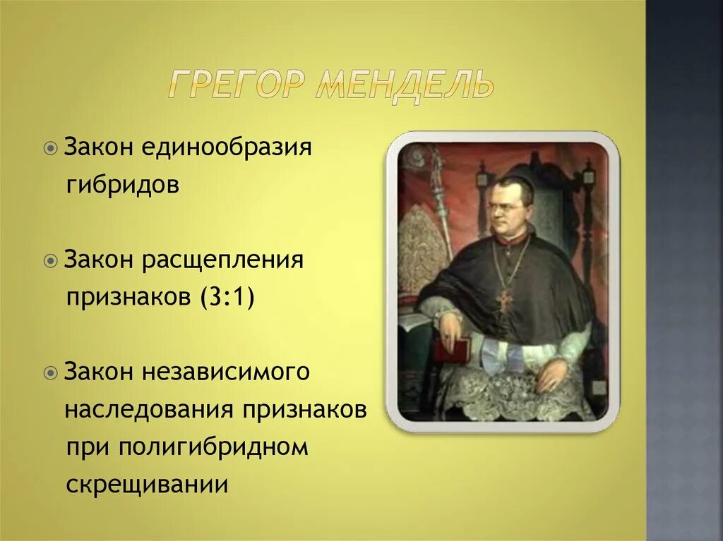 Грегор мендель законы наследственности. Грегор мендель законы наследственности. Три закона менделя по биологии 9 класс формулировка. Первый и второй закон грегора менделя. Грегор мендель генетика горох.